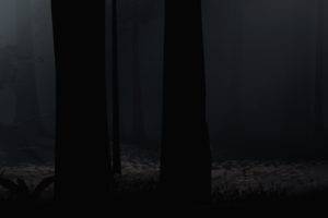gamers, Inside, Panoramas, Forest, Dark, Contrast