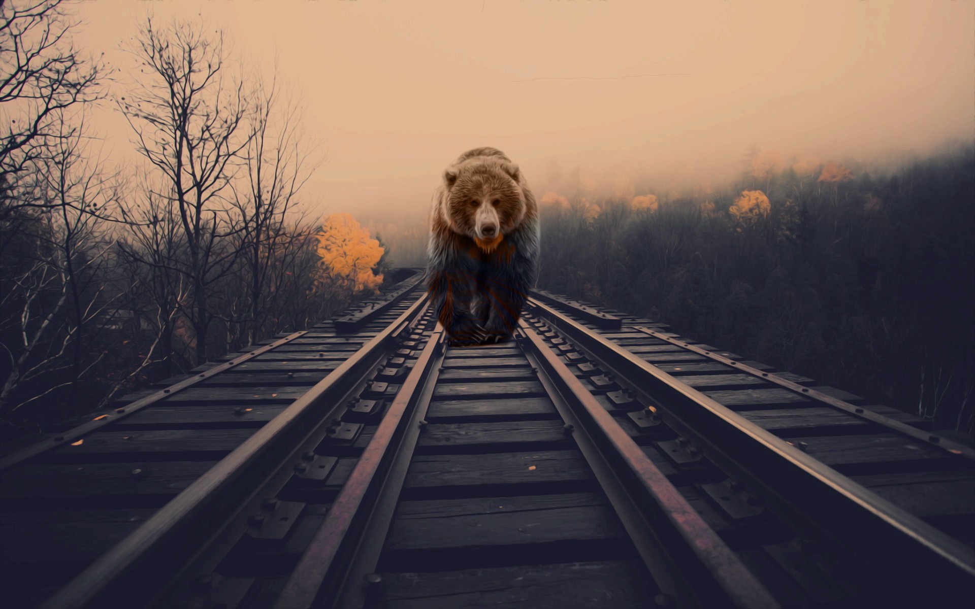 bears, Nature, Animals, Photo manipulation, Railway Wallpaper