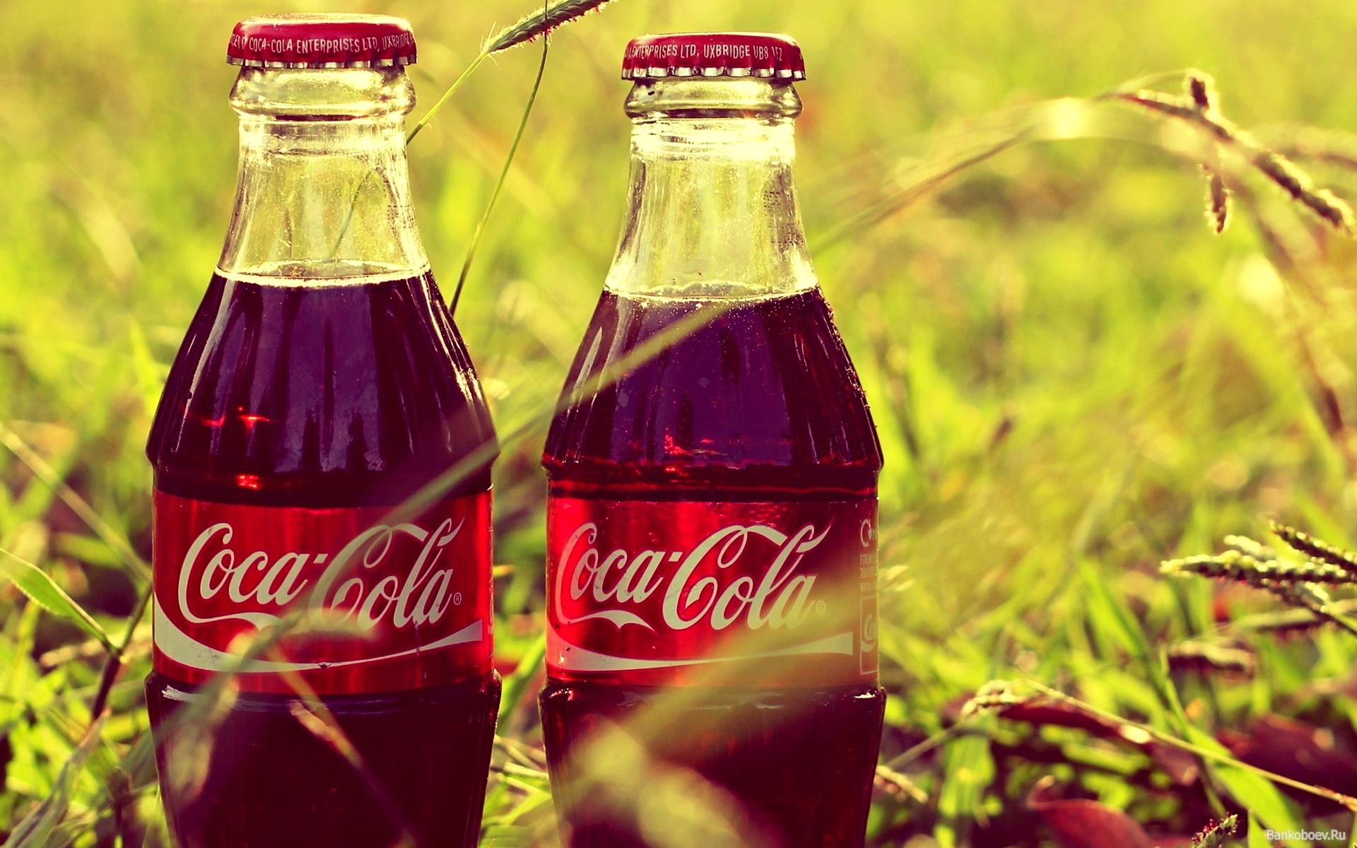 Coca Cola, Bottles, Grass Wallpaper