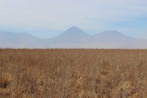 wheat, Mountains, Landscape, Field, Bolivia