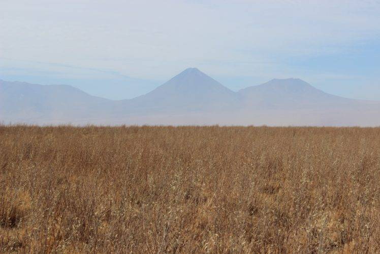 wheat, Mountains, Landscape, Field, Bolivia HD Wallpaper Desktop Background