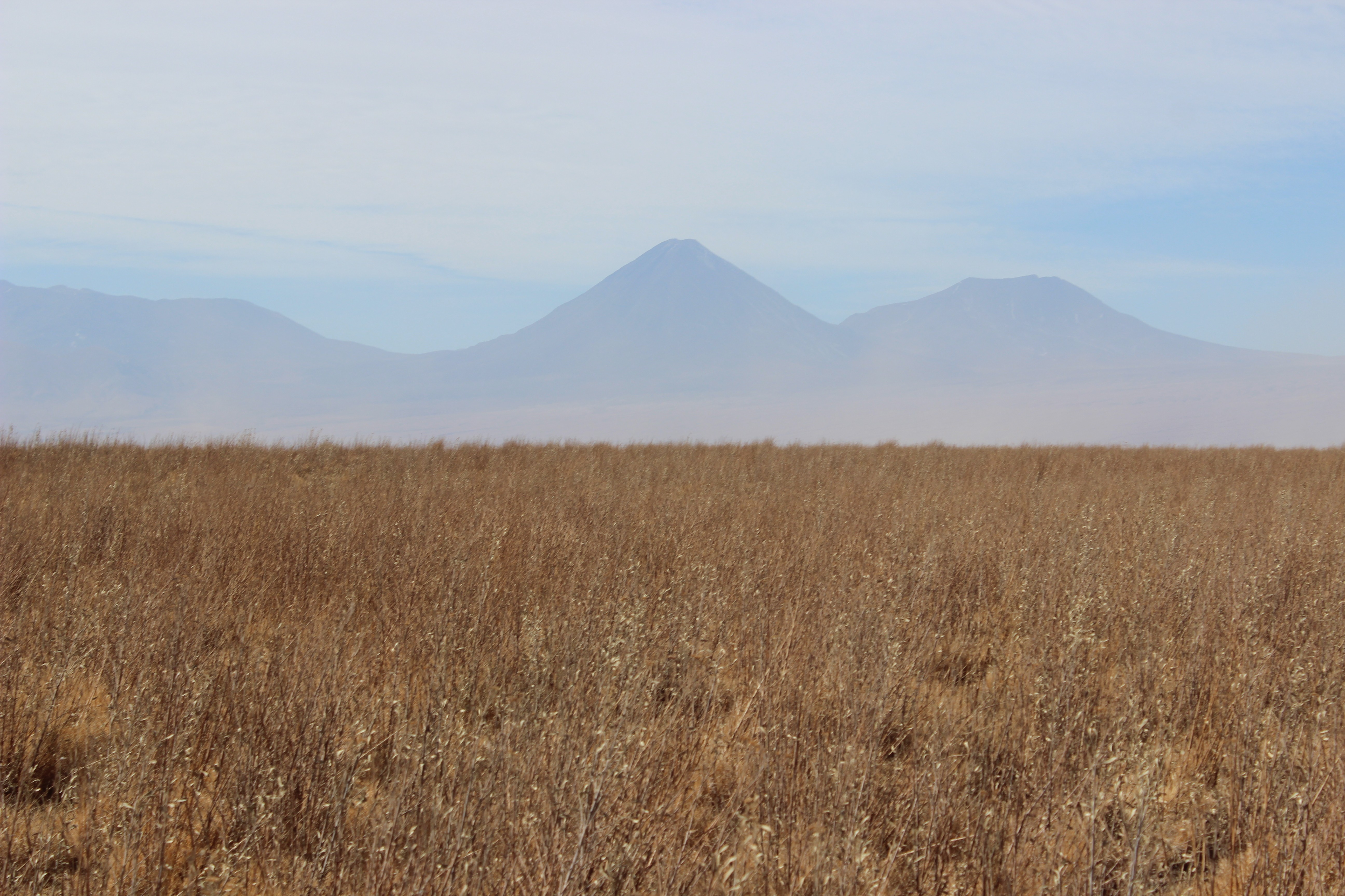 wheat, Mountains, Landscape, Field, Bolivia Wallpaper