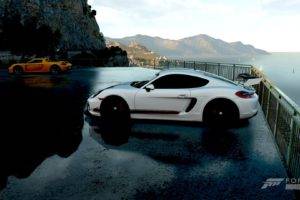 car, Forza Horizon 2, Porsche