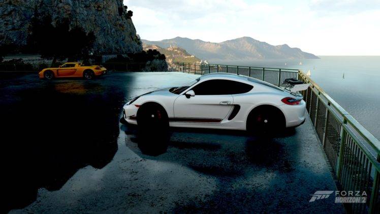 car, Forza Horizon 2, Porsche HD Wallpaper Desktop Background