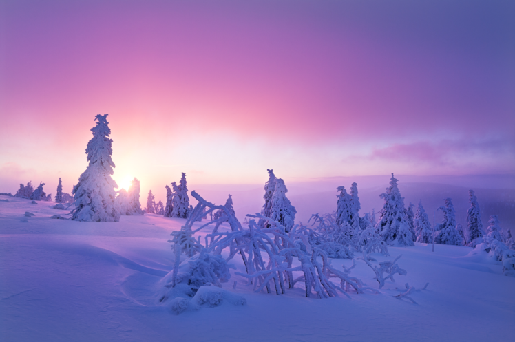 winter, Snow, Nature, Purple HD Wallpaper Desktop Background