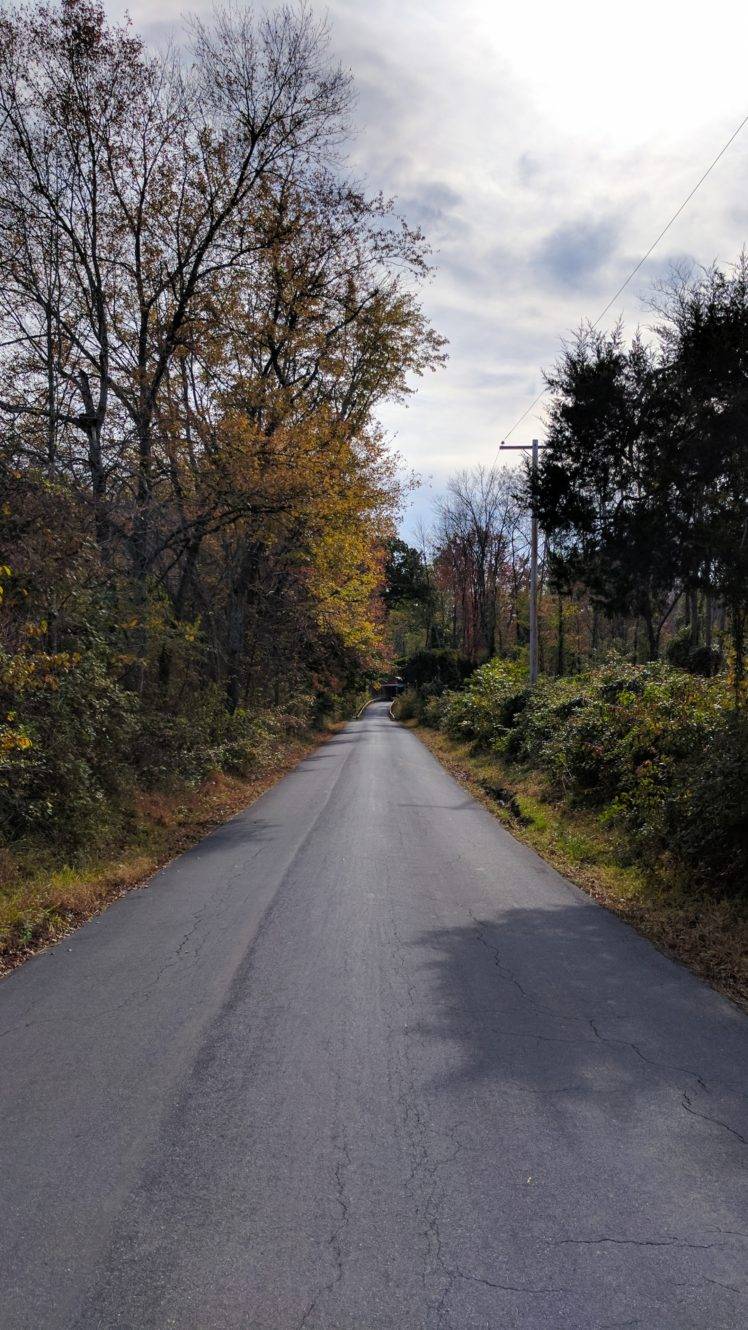 road, Forest, Fall HD Wallpaper Desktop Background