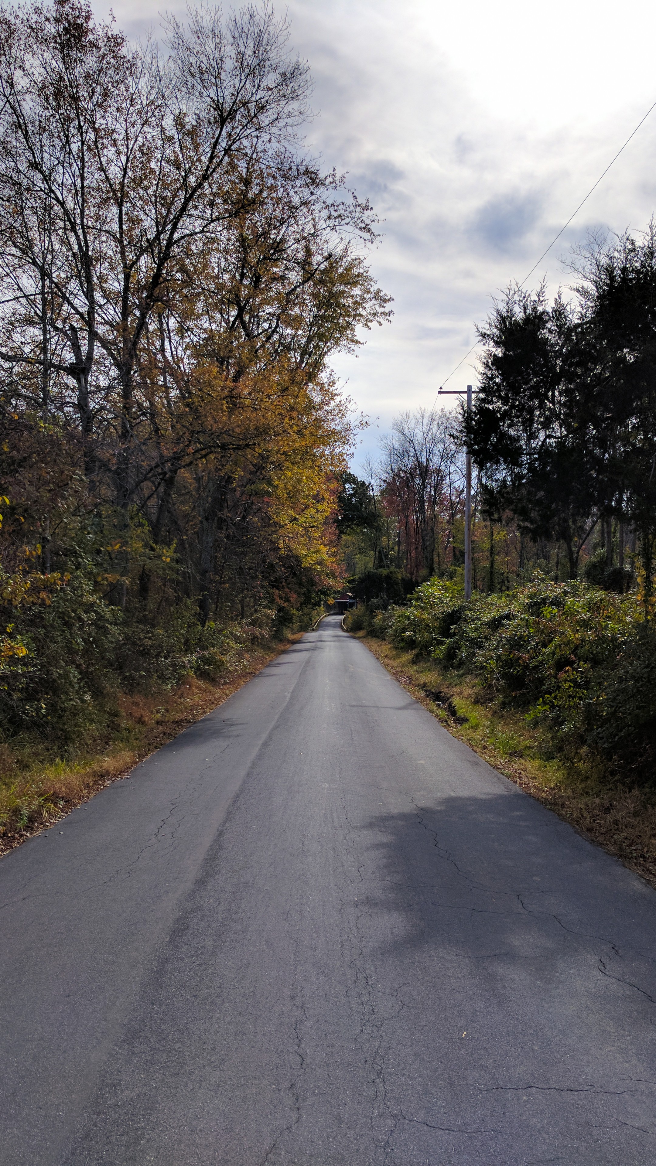 road, Forest, Fall Wallpaper