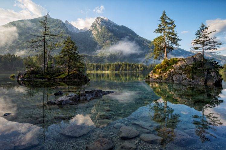 landscape, Lake, Pine trees HD Wallpaper Desktop Background