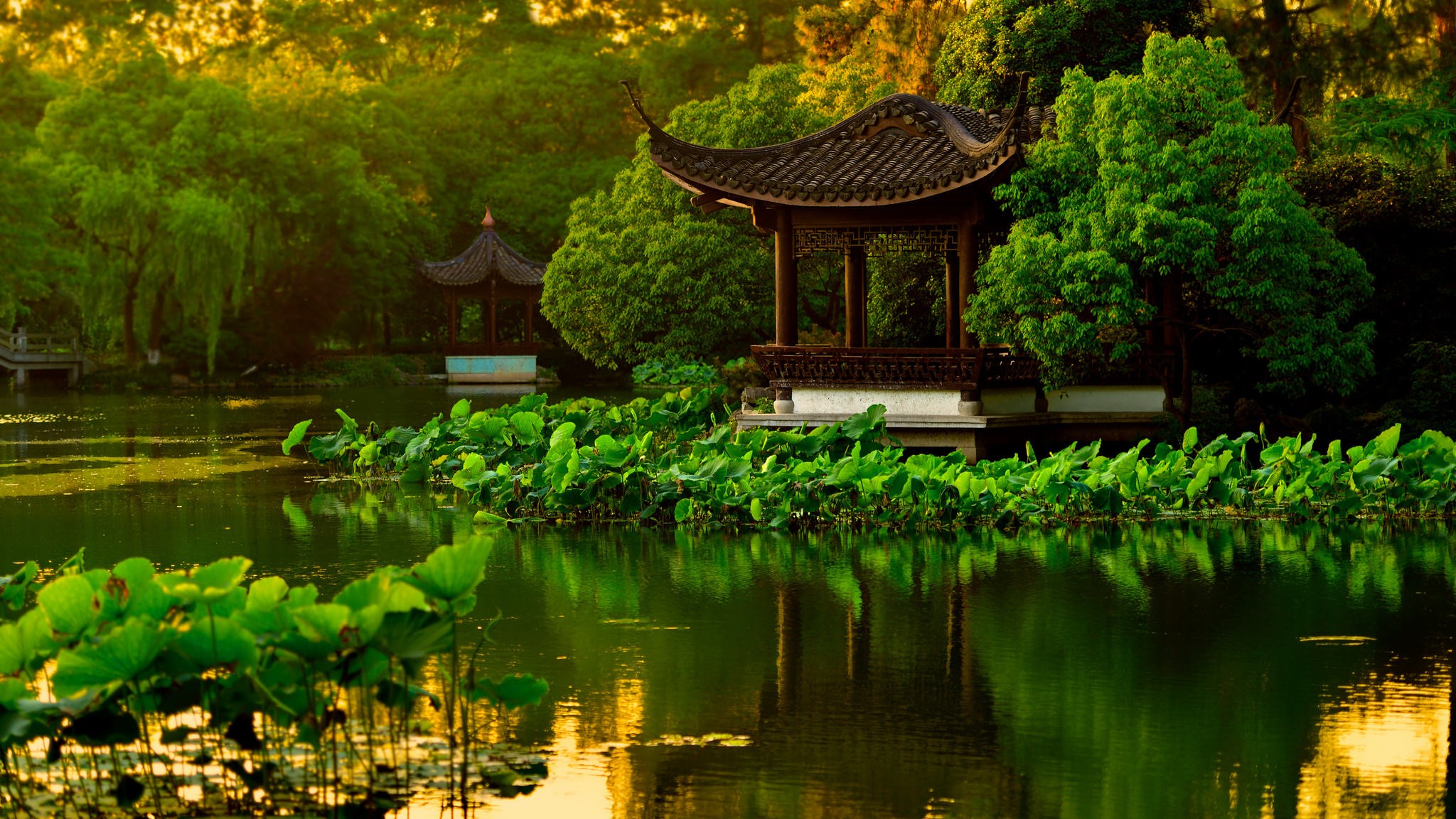 landscape, Japanese Garden, Lake Wallpaper