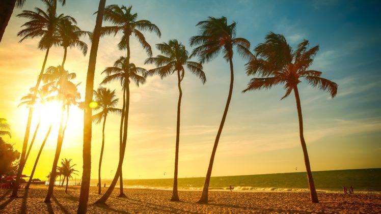 landscape, Tropical, Beach, Palm trees, Sun HD Wallpaper Desktop Background