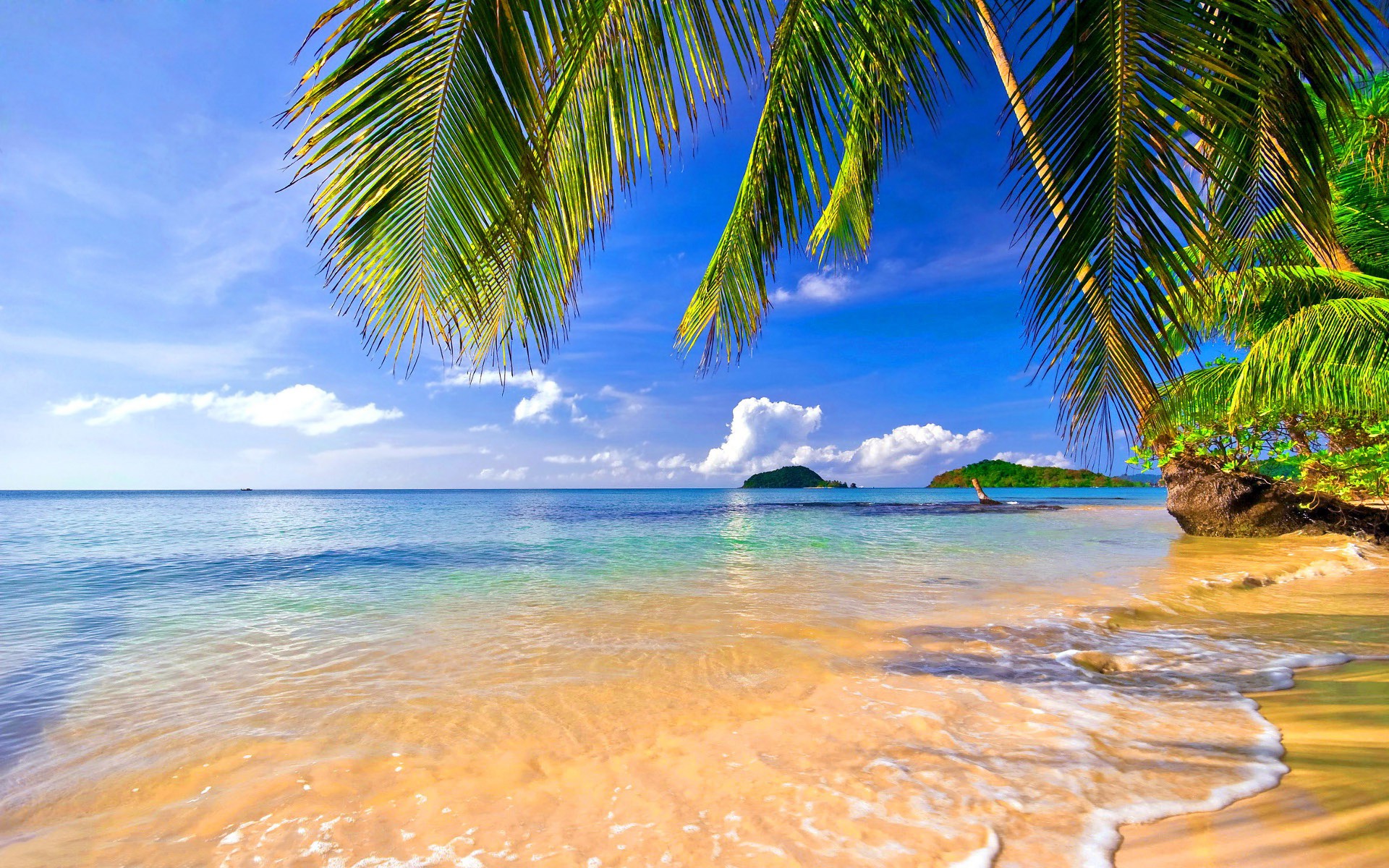 landscape, Tropical, Beach, Palm trees Wallpaper