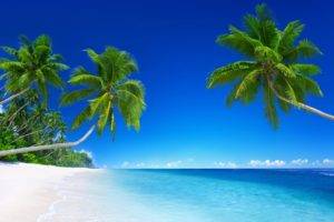 landscape, Tropical, Beach, Palm trees
