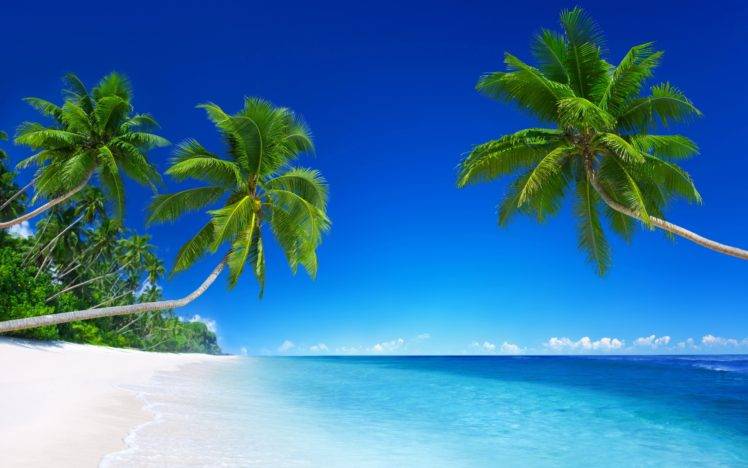 landscape, Tropical, Beach, Palm trees HD Wallpaper Desktop Background