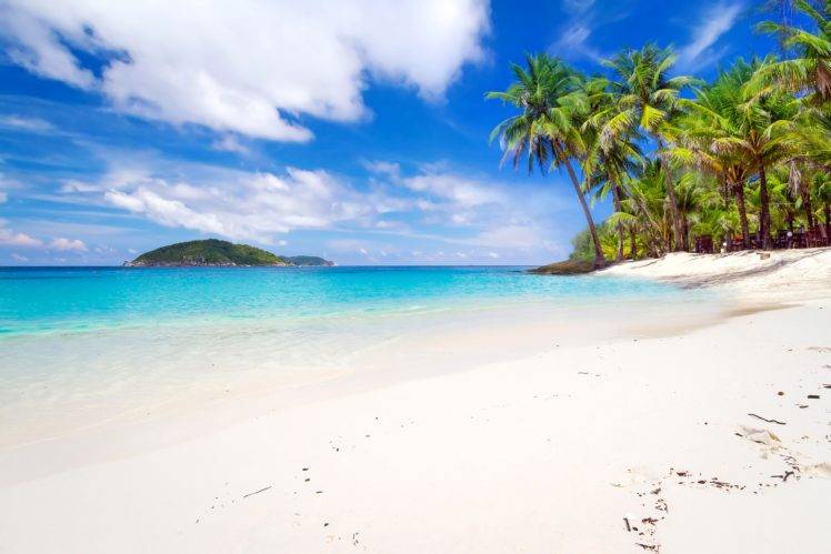 landscape, Tropical, Beach, Palm trees, Thailand HD Wallpaper Desktop Background