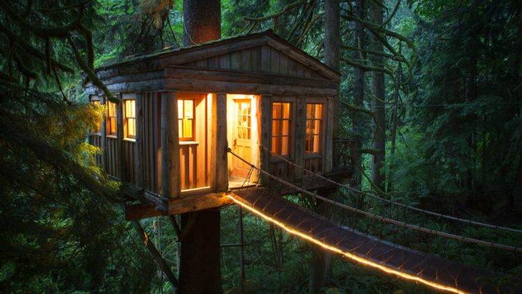 tree house, Forest, House, Outdoors HD Wallpaper Desktop Background