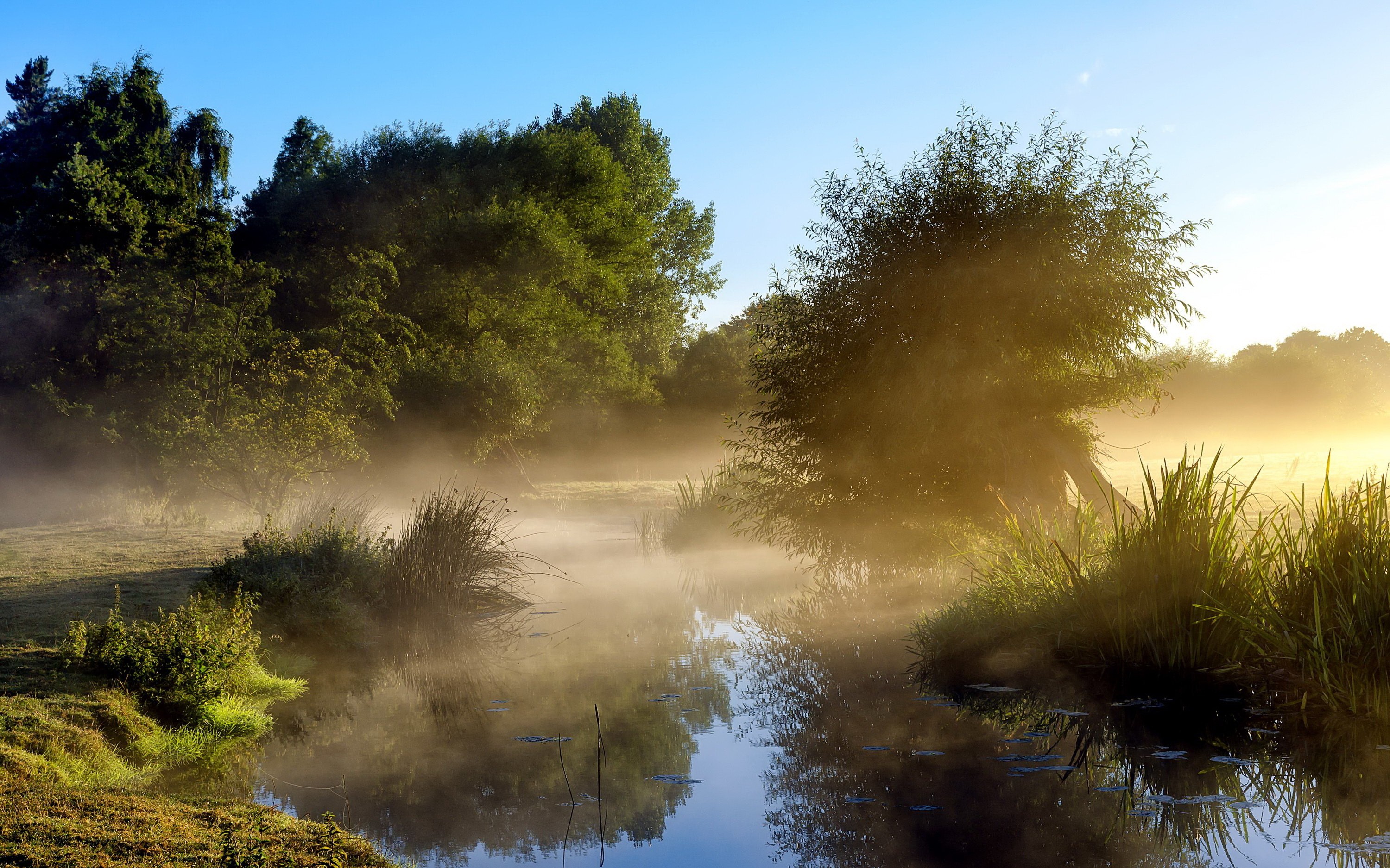 mist, River, Landscape Wallpaper