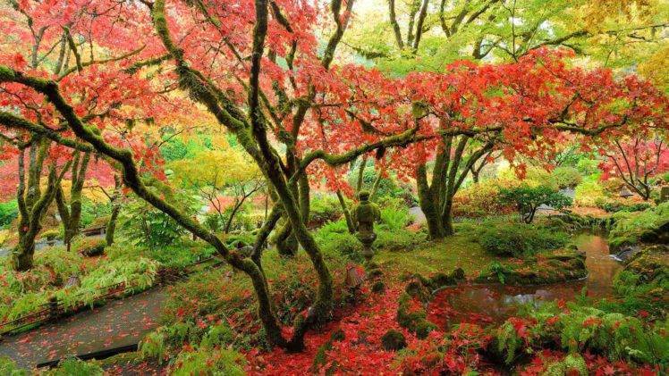 forest, Japanese Garden HD Wallpaper Desktop Background