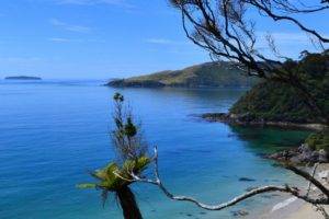 photography, Landscape, Nature, Beach, Island, Hills, Sea, Sand, Branch, Trees, New Zealand