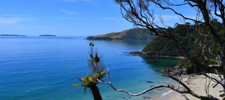 photography, Landscape, Nature, Beach, Island, Hills, Sea, Sand, Branch, Trees, New Zealand HD Wallpaper Desktop Background