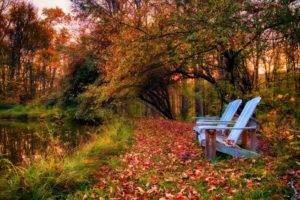 photography, Landscape, Nature, Park, Fall, Trees, Bench, Leaves, Pond, Path, Colorful