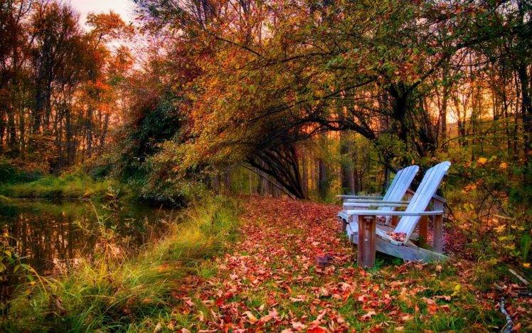 photography, Landscape, Nature, Park, Fall, Trees, Bench, Leaves, Pond, Path, Colorful HD Wallpaper Desktop Background