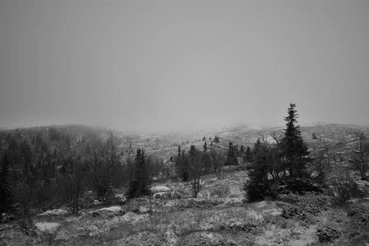 winter, Fall, Landscape, Black, White, Mist, Norway, Mountains, Forest, Spruce HD Wallpaper Desktop Background