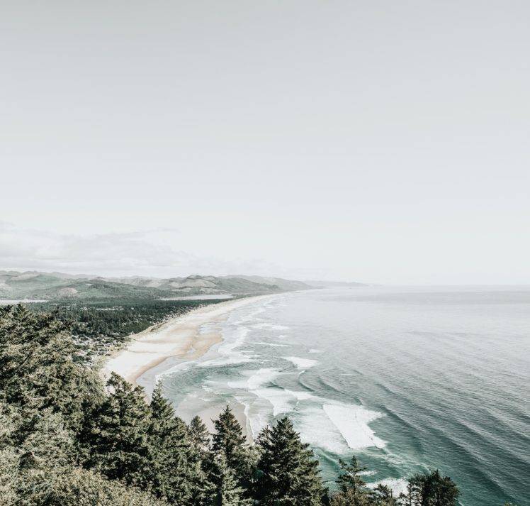nature, Water, Trees, Beach HD Wallpaper Desktop Background