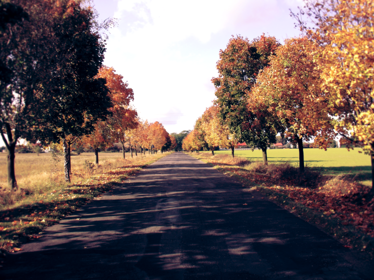 Poland, Fall, Nature, Trees, Road HD Wallpaper Desktop Background