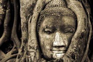 Buddha, Nature, Trees, Branch, Buddhism, Thailand, Monochrome, Sepia, Sculpture, National Geographic