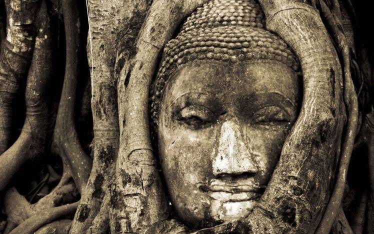 Buddha, Nature, Trees, Branch, Buddhism, Thailand, Monochrome, Sepia, Sculpture, National Geographic HD Wallpaper Desktop Background