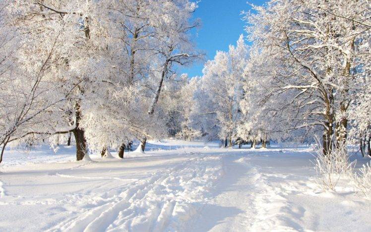 snow, Winter, Trees HD Wallpaper Desktop Background