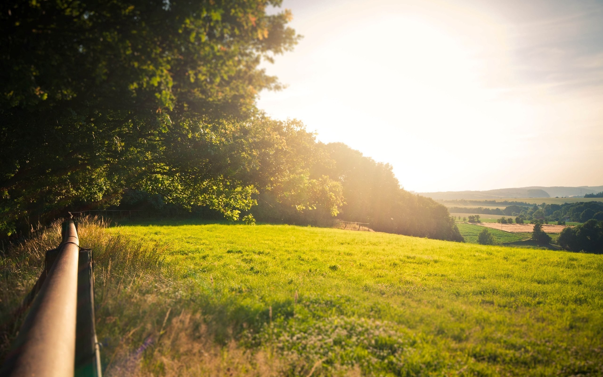 landscape, Field Wallpaper