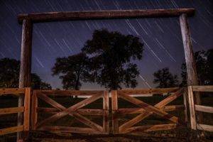 night, Night sky, Trees, Farm, Stars