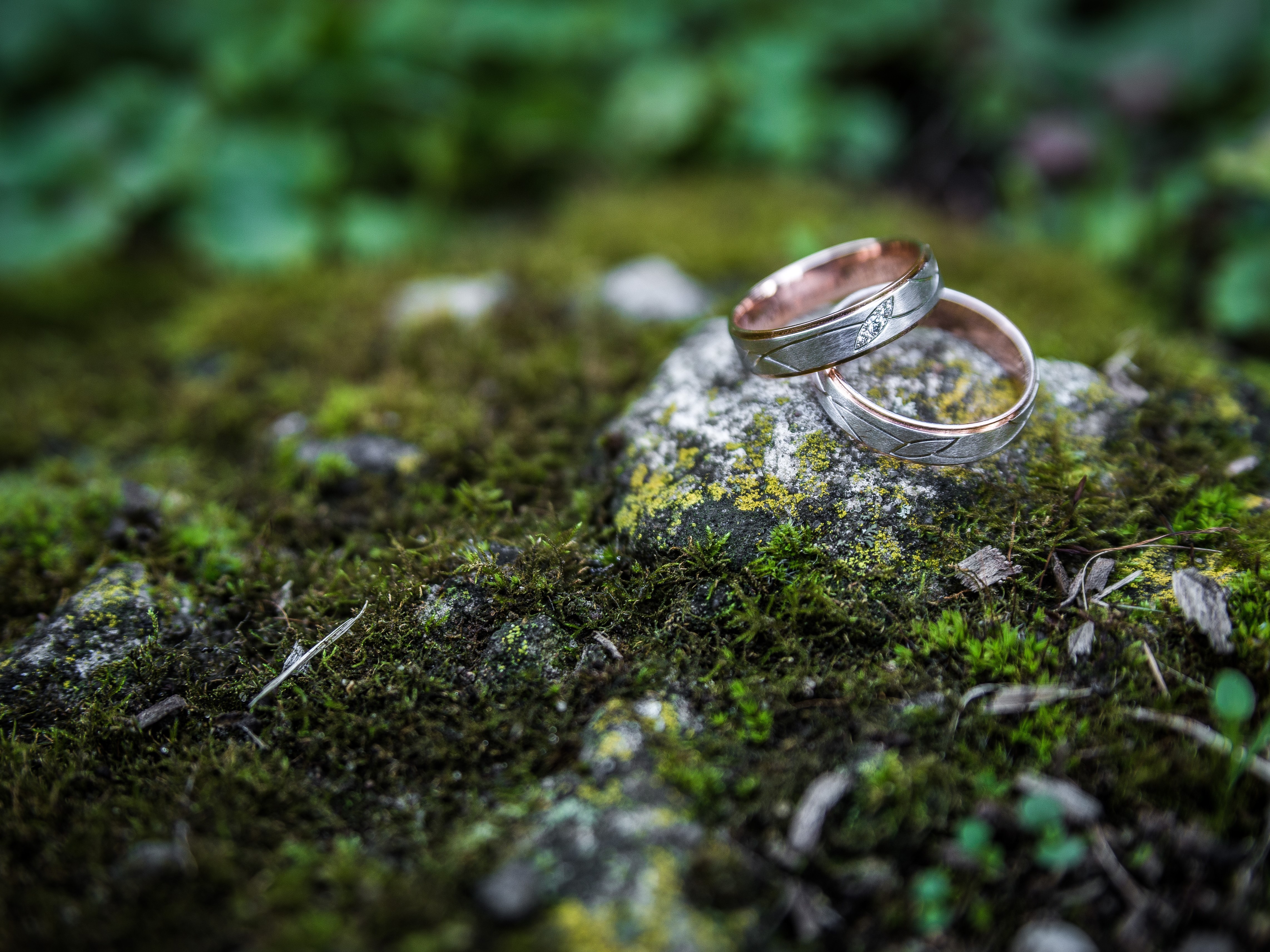 rings, Nature, Weddings Wallpaper