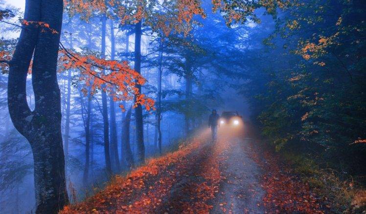 walking, Landscape, Photography, Nature, Forest, Road, Fall, Leaves, Morning, Mist, Hills, Lights HD Wallpaper Desktop Background