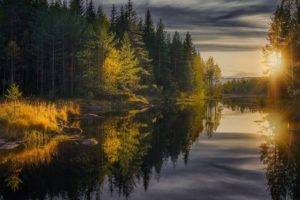 landscape, Photography, Nature, Forest, Fall, River, Calm waters, Sunset, Reflection, Pine trees, Sun rays, Finland