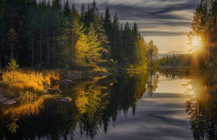landscape, Photography, Nature, Forest, Fall, River, Calm waters, Sunset, Reflection, Pine trees, Sun rays, Finland HD Wallpaper Desktop Background