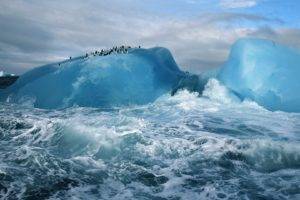 nature, Landscape, Winter, Iceberg, Sea, Clouds, Arctic, Penguins, Animals, Waves
