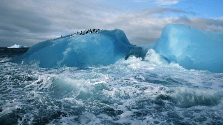 nature, Landscape, Winter, Iceberg, Sea, Clouds, Arctic, Penguins, Animals, Waves HD Wallpaper Desktop Background