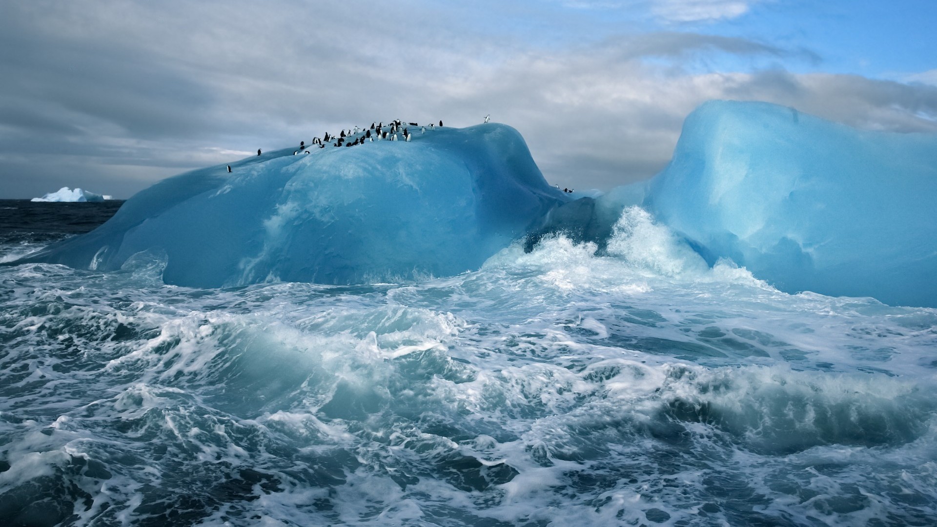 nature, Landscape, Winter, Iceberg, Sea, Clouds, Arctic, Penguins, Animals, Waves Wallpaper