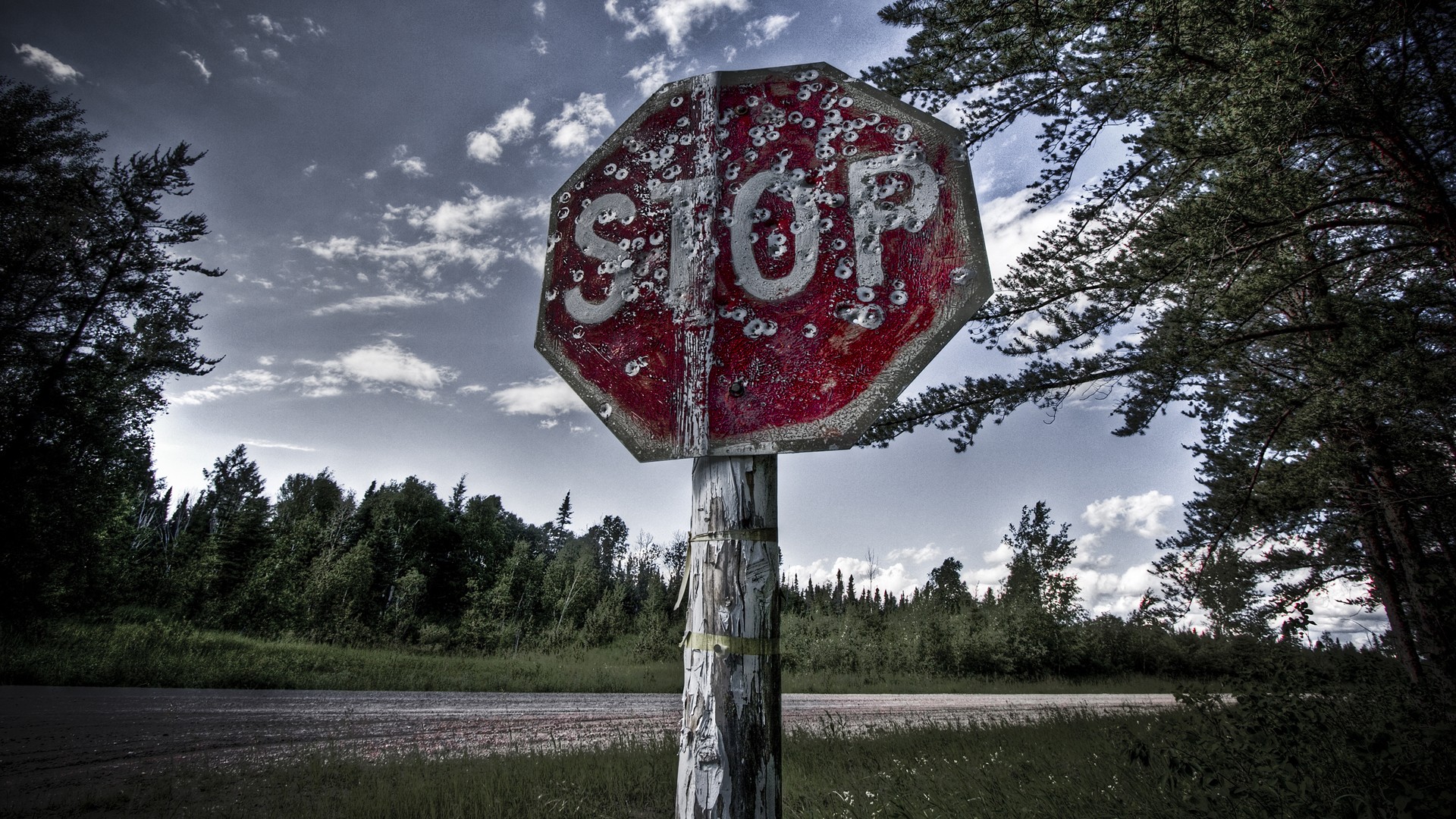 stop sign, Forest, Road Wallpaper