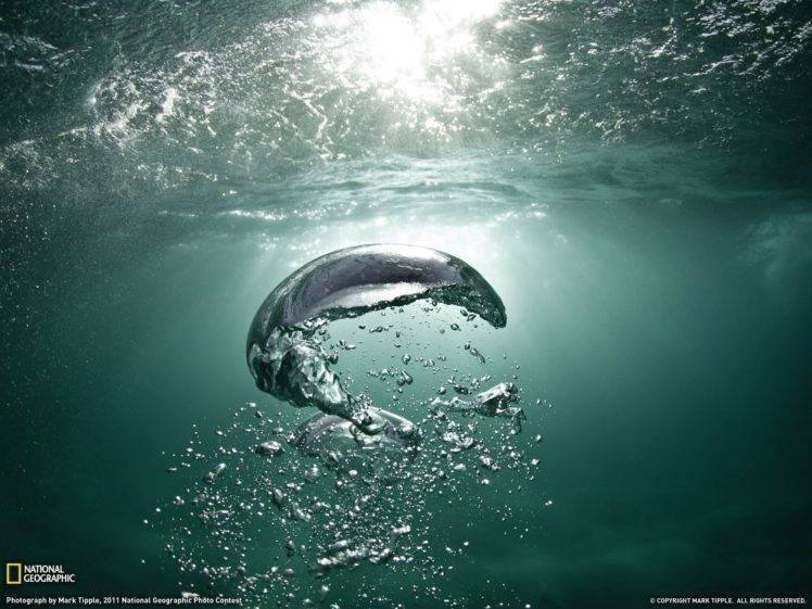 water, Sea, Underwater HD Wallpaper Desktop Background