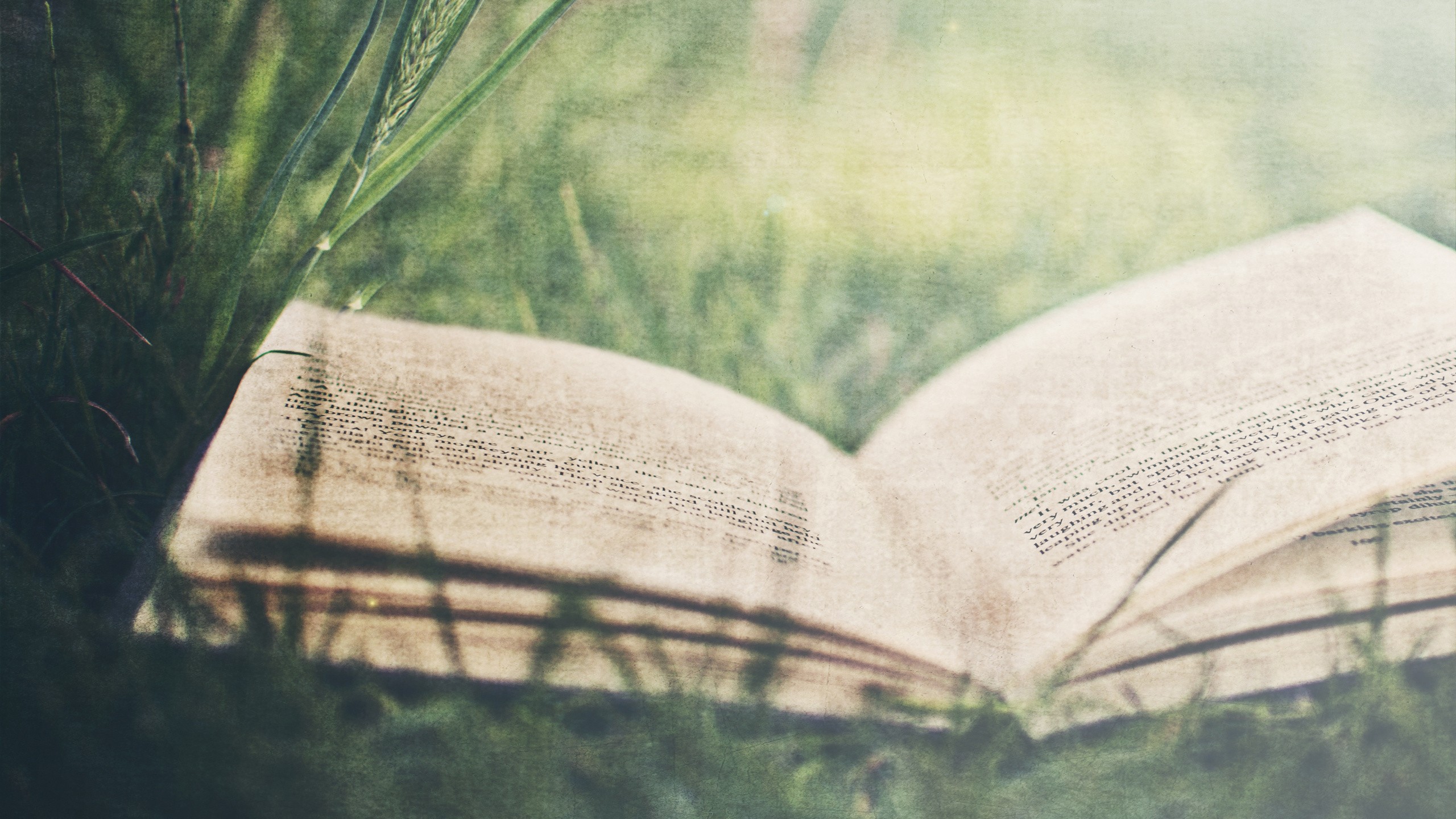 books, Grass Wallpaper