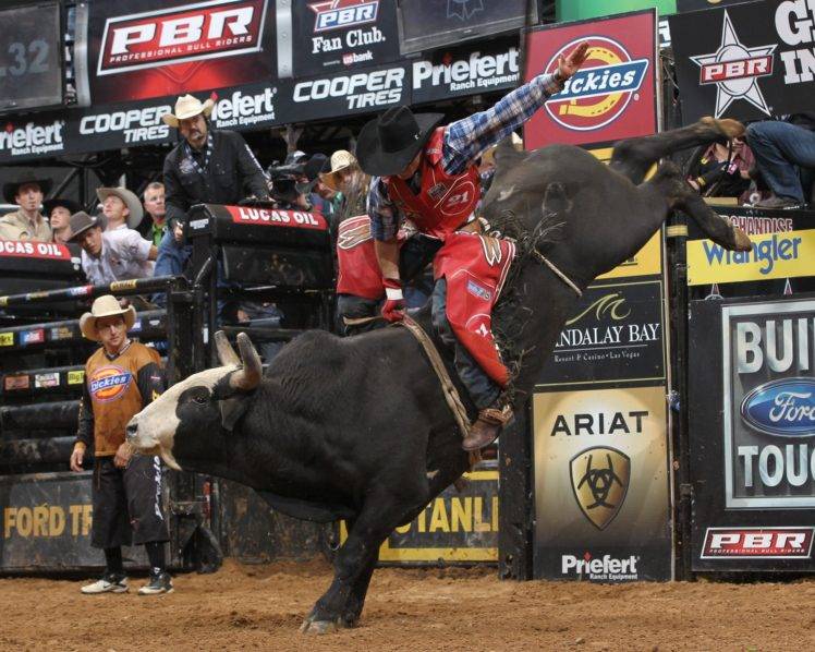 cowboys, Rodeos, Bull, Animals HD Wallpaper Desktop Background