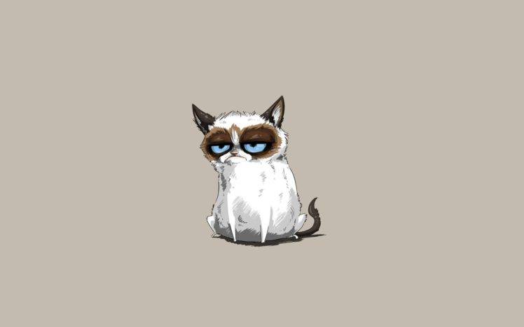 cat, Minimalism, Grumpy Cat HD Wallpaper Desktop Background