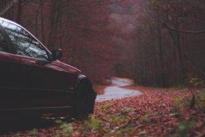 BMW, Fall, Trees, Road, Car