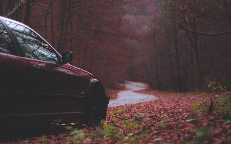 BMW, Fall, Trees, Road, Car HD Wallpaper Desktop Background
