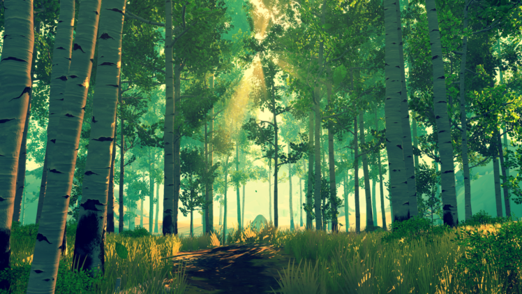forest, In game, Firewatch HD Wallpaper Desktop Background