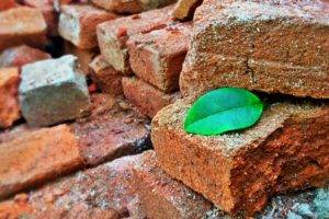 bricks, Leaves