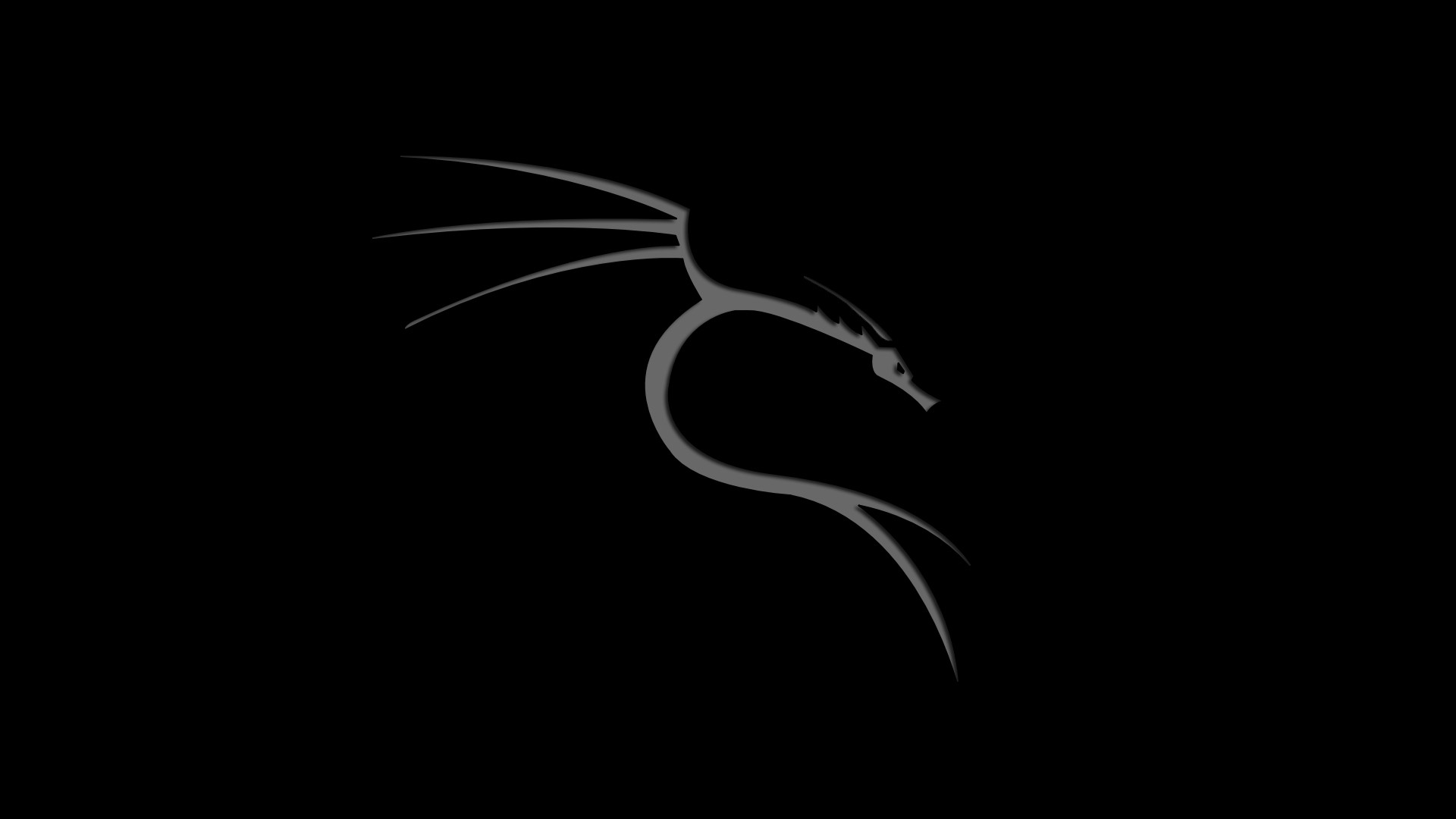 how to use kali linux nethunter